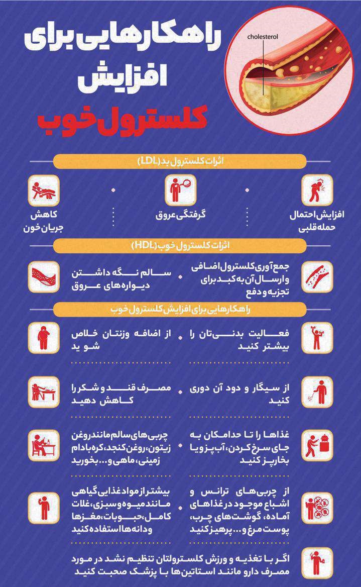 افزایش HDL خون